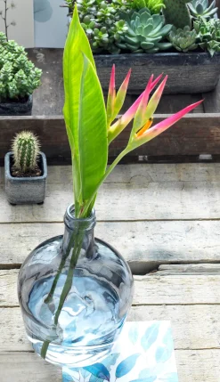 New Mica Decorations Deko-Flasche Diego transparent D 27 cm H 42 cm Vasen & Krüge|Blumentöpfe & Pflanzgefäße