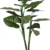 New Mica Decorations Kunstpflanze Taro D 70 H 100 cm Kunstpflanzen