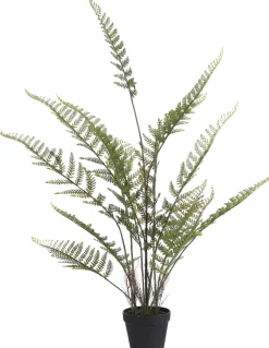 Hot Mica Decorations Kunstpflanze Farn 45 x 45 x 91 cm Kunstpflanzen
