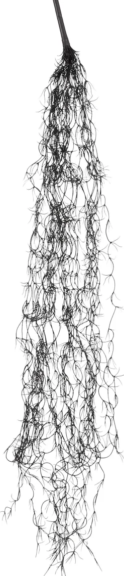 Hot Mica Decorations Kunstpflanze Tillandsia 115 x 11 x 5 cm zwart Künstliche Hängepflanzen