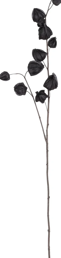 Discount Mica Decorations Kunstzweig Physalis 94 x 17 x 4 cm zwart Künstliche Deko-Zweige