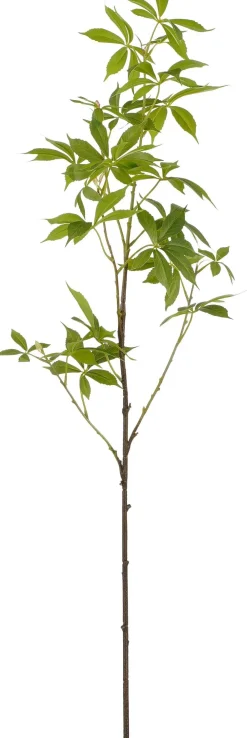 Mica Decorations Kunstzweig Maniok (Cassave) grün L 108 cm Künstliche Deko-Zweige