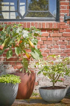 Sale Mica Decorations Pflanzschale Bravo grau D 35 H 17 cm Blumentöpfe & Pflanzgefäße