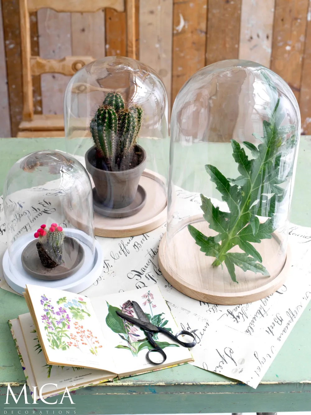 Best Mica Decorations Teller für Glasglocke Hella Holz hell D 17,5 cm H 2 cm Glasglocken