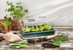 Clearance Nature Aero Serre Anzuchtkasten 38 x 24 x 18 cm Anzuchtkästen & Mini-Gewächshäuser