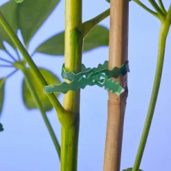 Nature Bindeband 25 m Rankhilfen|Bindematerial