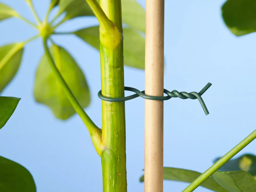 Discount Nature Bindedraht kunststoffummantelt D 0,8 mm x 50 m grün Rankhilfen|Bindematerial