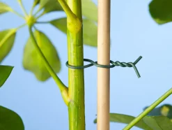 Online Nature Bindedraht mit Kunststoff ummantelt 1,2 mm x 50 m grün Rankhilfen|Bindematerial