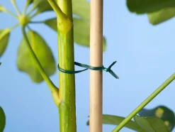 Online Nature Bindedraht mit Metallkern 100 m grün Rankhilfen|Bindematerial