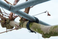 Discount Nature Gartenschnur D 3 mm, 50 m schwarz Rankhilfen|Bindematerial