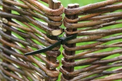 Sale Nature Kabelbinder 15 cm schwarz 25 St. Rankhilfen|Bindematerial