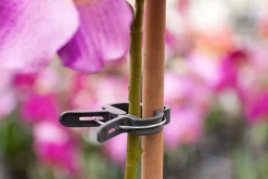 Sale Nature Pflanzenclips D 24 mm 10 St. Rankhilfen|Bindematerial