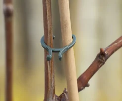 Clearance Nature Pflanzenklammern 15 x D16mm, 15 x D20mm und 10 x D25mm Rankhilfen|Bindematerial