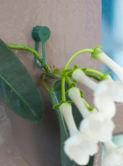 Nature Pflanzenklammern grün D 15 mm 15 St. Rankhilfen|Bindematerial