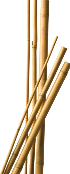 Sale Nature Pflanzstab Bambus H 60 cm D 6-8 mm 10 St. Rankhilfen|Pflanzstäbe