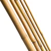 Outlet Nature Pflanzstab Bambus H 240 cm D 18-20 mm 3 St. Rankhilfen|Pflanzstäbe