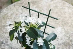 Discount Nature Rankgitter für Zimmerpflanzen 37 x 23 cm 2 St. Rankhilfen|Rankgitter & Spaliere