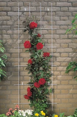 Sale Nature Rankgitter Metall kunststoffbeschichtet 150 x 45 cm grün Rankhilfen|Rankgitter & Spaliere