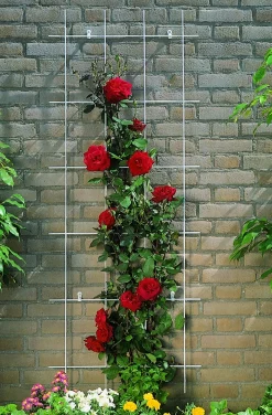 Nature Rankgitter Metall kunststoffbeschichtet 150 x 75 cm grün Rankhilfen|Rankgitter & Spaliere