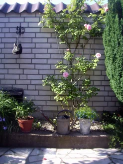 Sale Nature Rankgitter V-Form galvanisiertes Metall H 145 x 5-75 cm Rankhilfen|Rankgitter & Spaliere