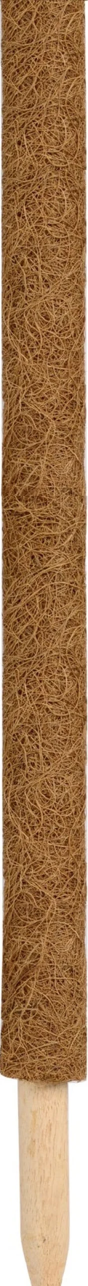 Online Nature Rankhilfe Kokosstab H 60 cm D 38 mm Rankhilfen|Pflanzstäbe