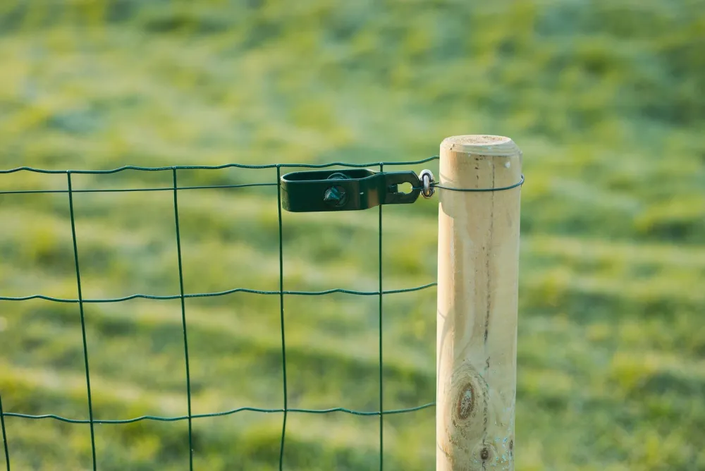Clearance Nature Spanndraht-Set mit 2 Drahtklemmen kunststoffummantelt grün Spanndraht|Rankhilfen