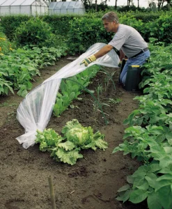 Clearance Nature Tunnelbogen für Folientunnel H 56 D 85 cm Folientunnel