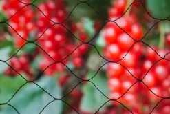 Outlet Nature Vogelschutznetz Primo Maschenweite 28x28mm 5 x 4m schwarz Pflanzenschutz|Schutznetze