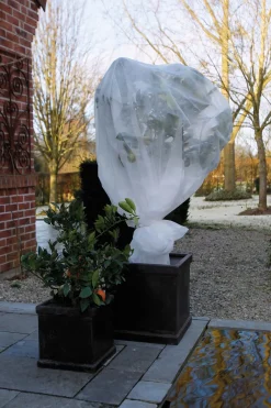 Sale Nature Winterschutzvlies 1 x 10 m weiß Pflanzenschutz|Winterschutz