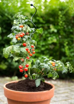 Best Peacock Stützstab Spiral grün D 5 H 55 cm Rankhilfen|Pflanzenstützen