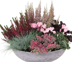 Pflanzenarrangement Herbst mit Heide D 38 H 35 cm Pflanzenarrangements