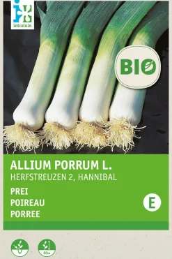 Hot Porree (Allium porrum 'Hannibal') (BIO) Samen Gemüsesamen|Saatgut