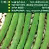 Sale Prinzessbohnen (Phaseolus vulgaris 'verbesserte doppelte Prinzess') Samen Gemüsesamen|Saatgut