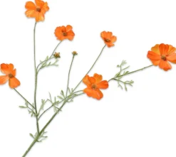 Discount Silk-Ka Kunstblume Cosmos orange 25 x 25 x 77 cm Kunstblumen