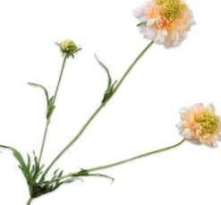 Hot Silk-Ka Kunstblume Scabiosa orange 66 cm Kunstblumen