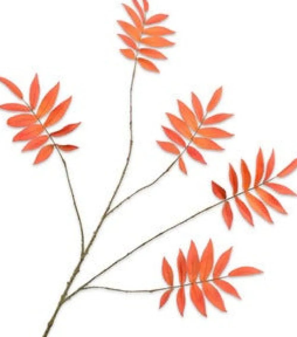 Hot Silk-Ka Kunstzweig Rhus orange 103 cm Künstliche Deko-Zweige