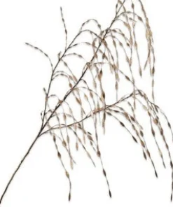 Hot Silk-Ka Kunstzweig Ziergras gold 119 cm Künstliche Deko-Zweige