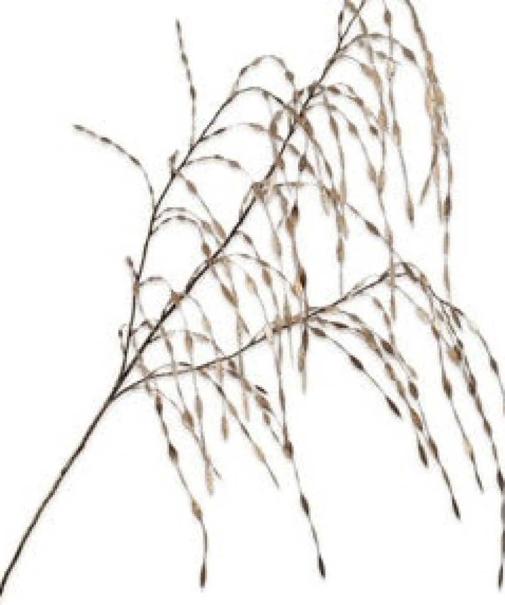 Hot Silk-Ka Kunstzweig Ziergras gold 119 cm Künstliche Deko-Zweige