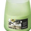 Clearance Spaas Citronella-Kerze Asian Garden grün 38 Std. D 8,2 H 9,5 cm Kerzen Im Glas|Citronella-Kerzen