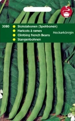 New Stangenbohnen (Phaseolus vulgaris 'Neckarkönigin') Samen Gemüsesamen|Saatgut