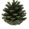 Discount Tannenzapfen Österreich grün 8 cm Weihnachts- & Adventsdeko
