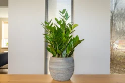 Discount TS Blumentopf Dex weiß / grau D 19 H 16 cm Blumentöpfe|Blumentöpfe & Pflanzgefäße