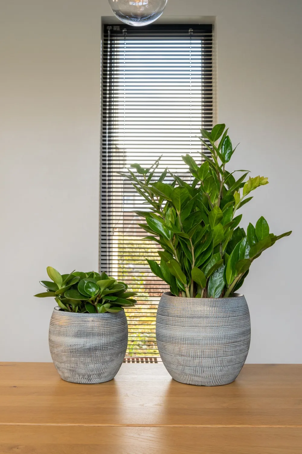 Discount TS Blumentopf Dex weiß / grau D 19 H 16 cm Blumentöpfe|Blumentöpfe & Pflanzgefäße