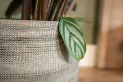 Discount TS Blumentopf Dex weiß / grau D 19 H 16 cm Blumentöpfe|Blumentöpfe & Pflanzgefäße