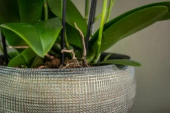 Outlet TS Blumentopf Dex weiß / grau D 28 H 25 cm Blumentöpfe & Pflanzgefäße|Blumentöpfe