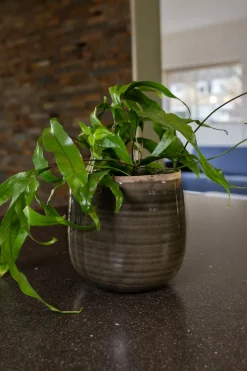 New TS Blumentopf Iris grün D 21 H 17 cm Blumentöpfe|Blumentöpfe & Pflanzgefäße