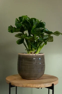 Best TS Blumentopf Iris grün D 15 H 14 cm Blumentöpfe|Blumentöpfe & Pflanzgefäße