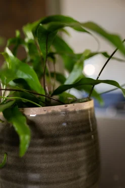 TS Blumentopf Iris grün D 26 H 21 cm Blumentöpfe & Pflanzgefäße|Blumentöpfe