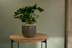 TS Blumentopf Iris grün D 14 H 12 cm Blumentöpfe|Blumentöpfe & Pflanzgefäße