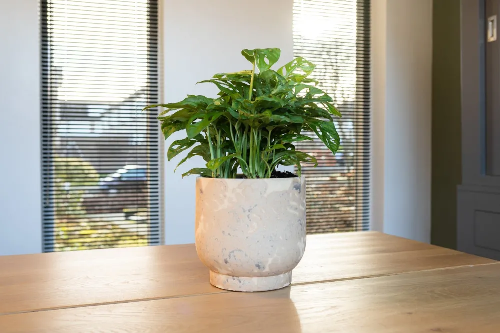 Hot TS Blumentopf Linn creme D 21 H 21 cm Blumentöpfe|Blumentöpfe & Pflanzgefäße